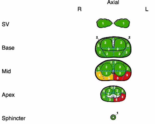 Surgical Decision Support View 1